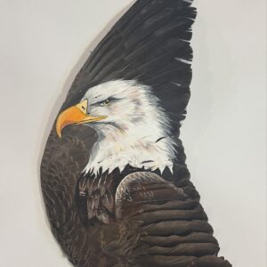 Eagle Framed Goose Wing