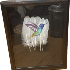 Hummingbird Framed Feather