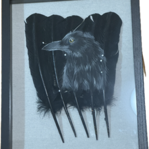 Raven Framed Feather